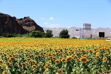 剧情驱动RPG《电气马戏团》 在Steam正式发售